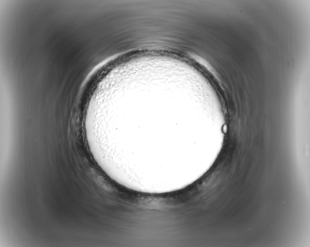 X0000085780971200704091409