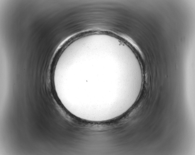 X0000085780972200704091409