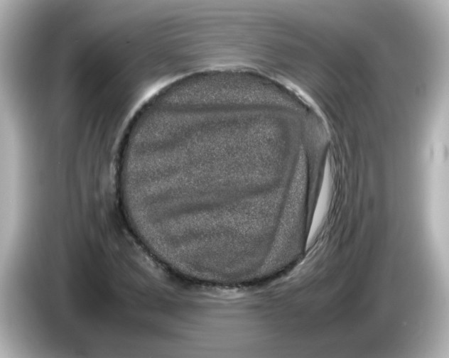 X0000085780975200704091409