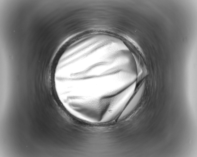 X0000085780976200704091409