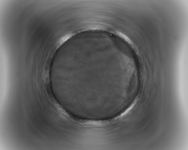 X0000085780977200704091409