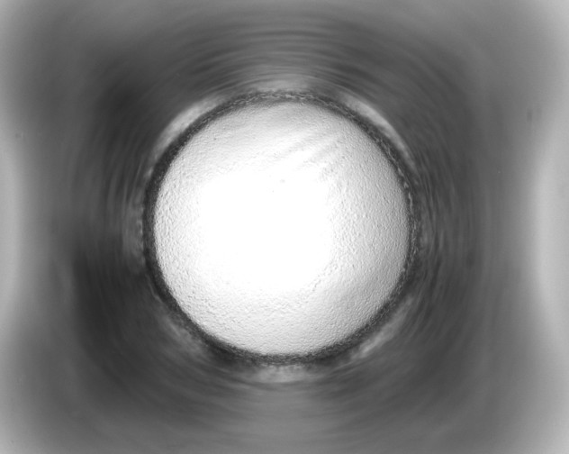 X0000085780978200704091409