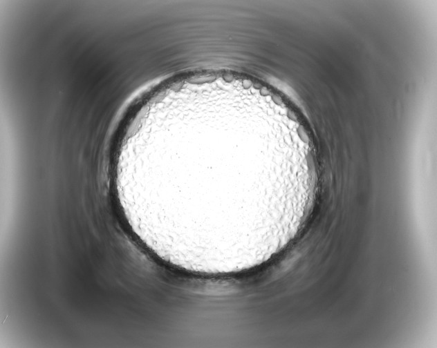 X0000085780979200704091409