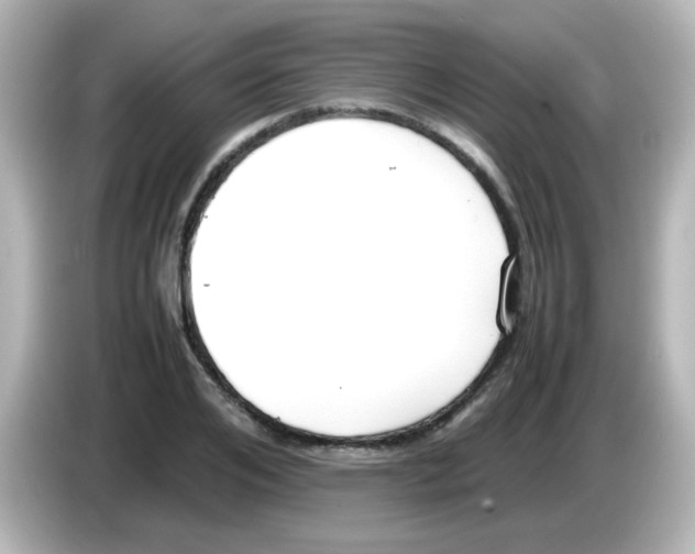 X0000085780984200704091408