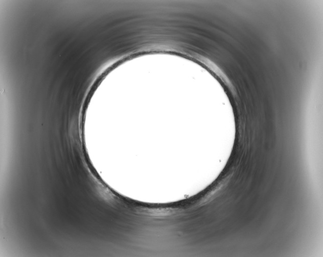 X0000085780988200704091408