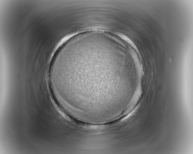 X0000085780989200704091408