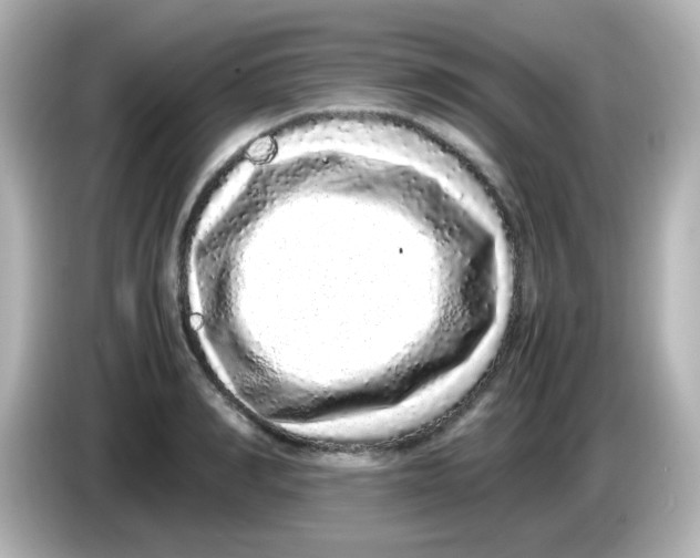 X0000085780990200704091408