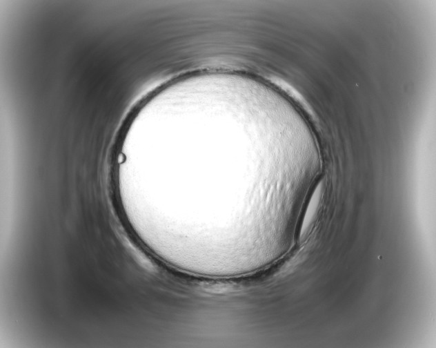 X0000085780991200704091408