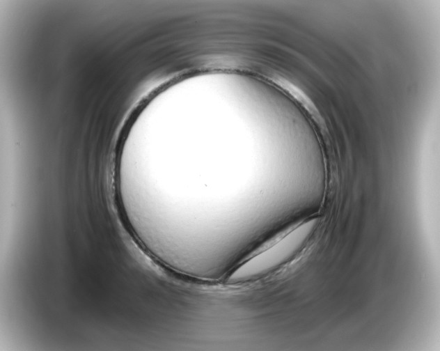 X0000085780992200704091408