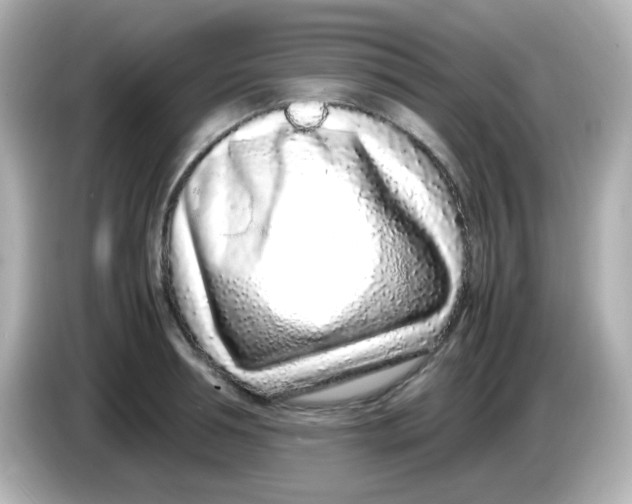 X0000085780994200704091408