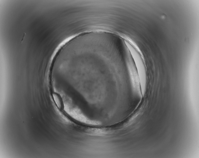 X0000085780995200704091408