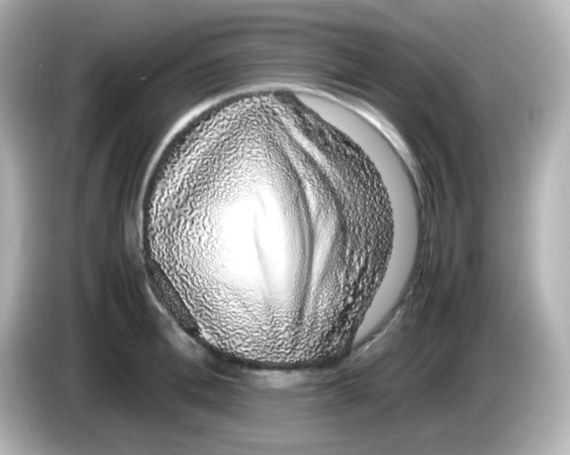 X0000085780996200704091408