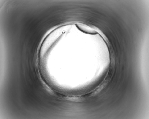 X0000085781004200704091408