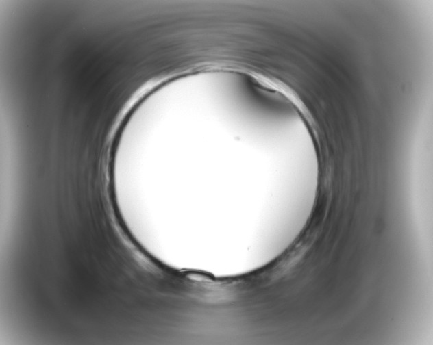 X0000085781005200704091408