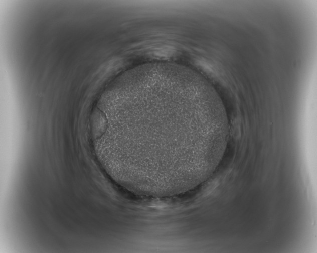 X0000085781009200704091408