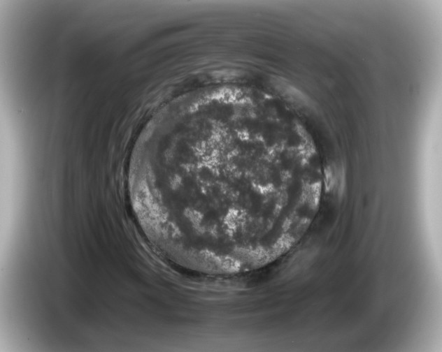 X0000085781011200704091408