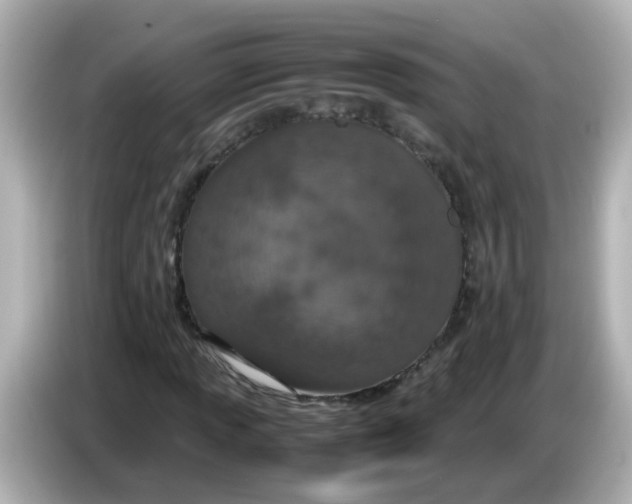 X0000085781013200704091408