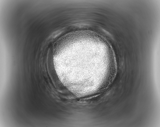 X0000085781014200704091408