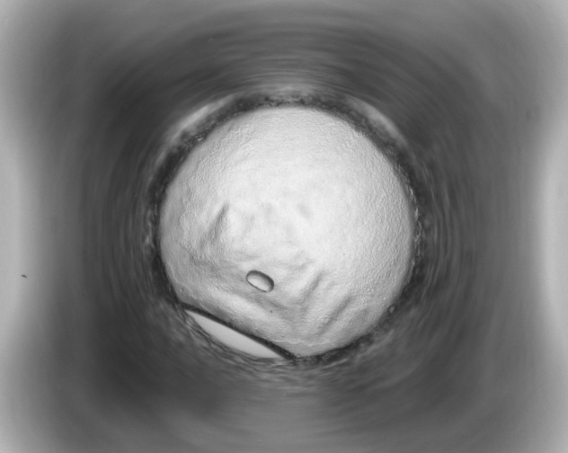 X0000085781016200704091408