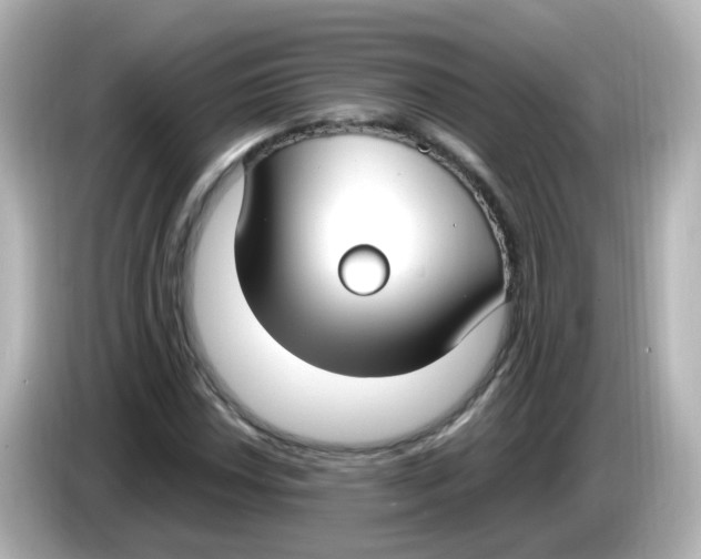 X0000085781018200704091408