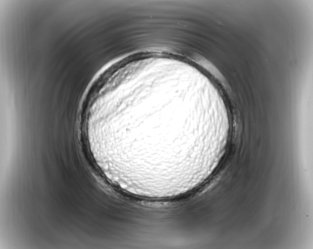 X0000085781020200704091408