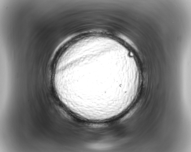 X0000085781021200704091408