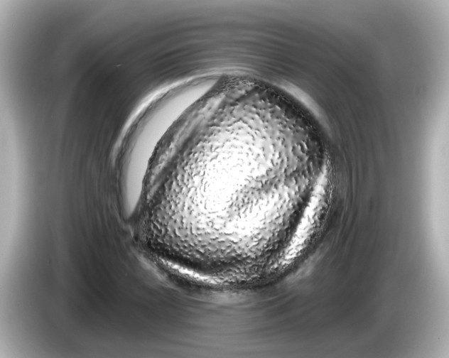 X0000085781022200704091408