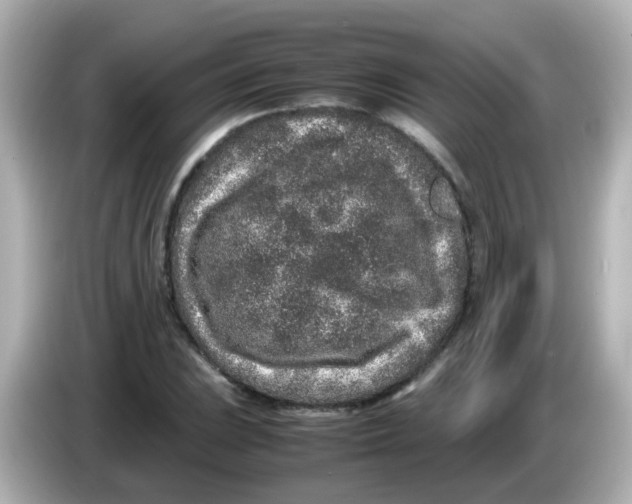 X0000085781023200704091408