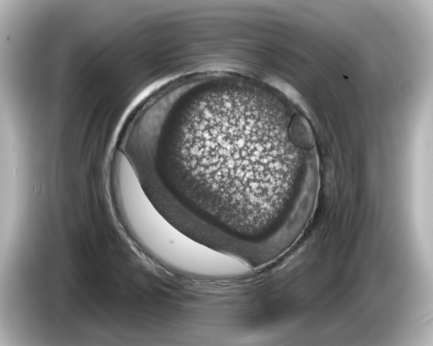 X0000085781024200704091408