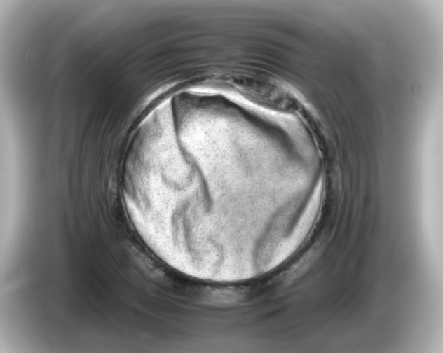 X0000085781025200704091408