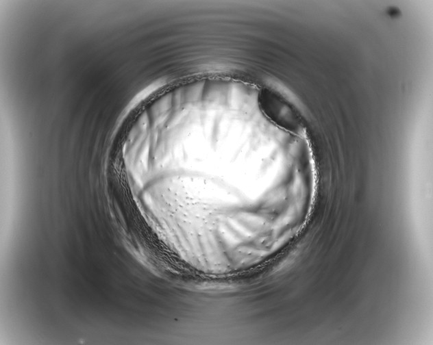 X0000085781026200704091408