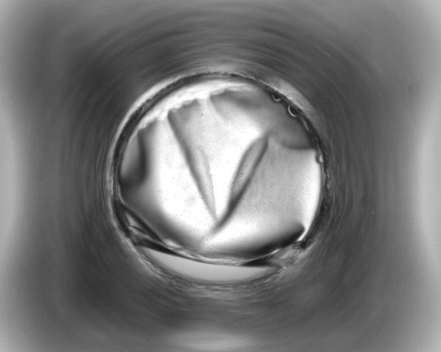 X0000085781028200704091408