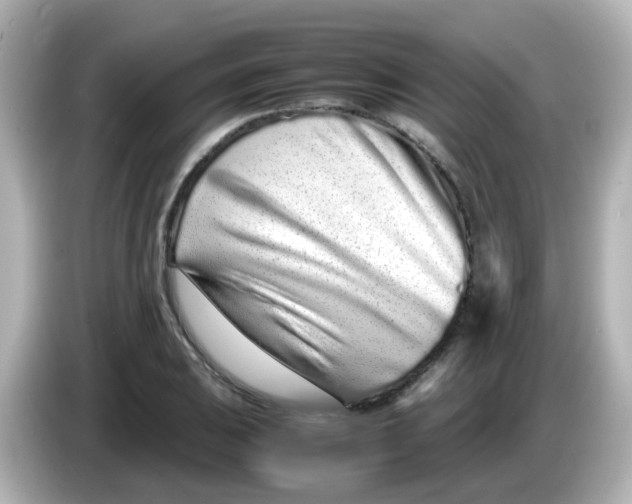 X0000085781031200704091408