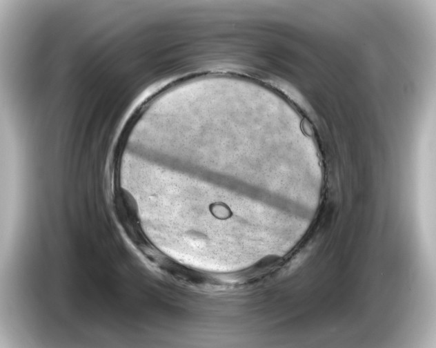 X0000085781032200704091408