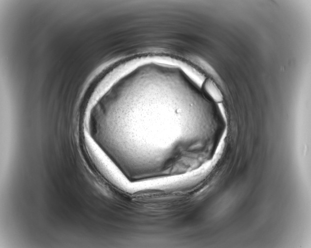 X0000085781035200704091408