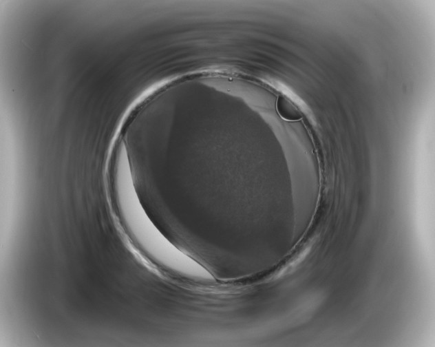 X0000085781037200704091408