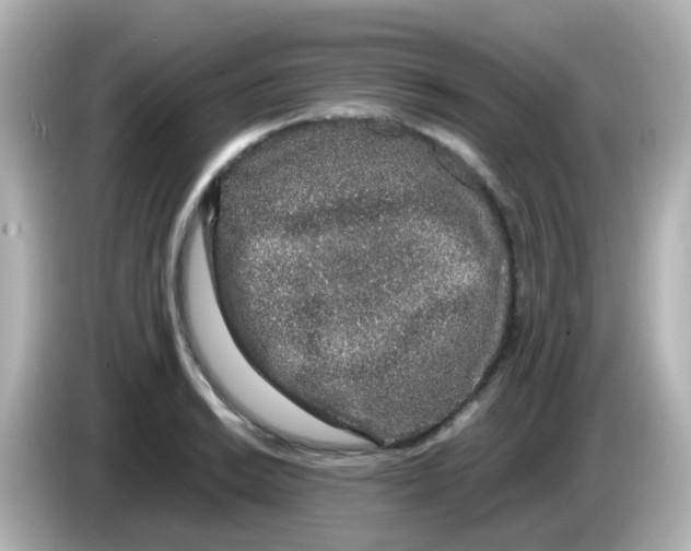 X0000085781038200704091408