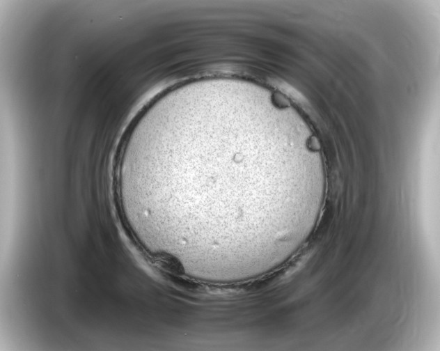 X0000085781039200704091408