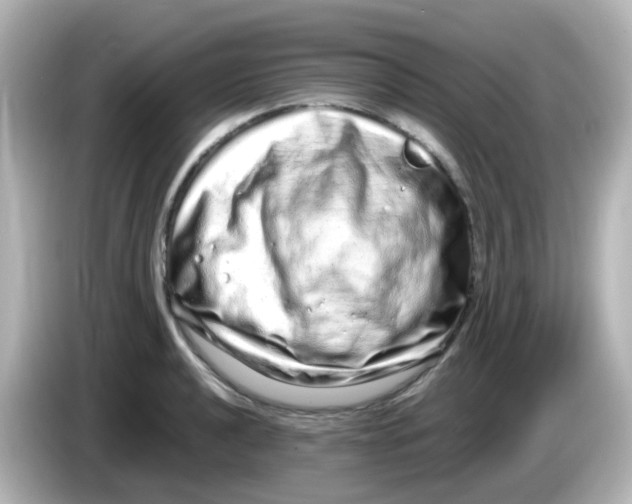 X0000085781040200704091408