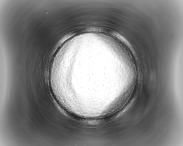 X0000085781041200704091408