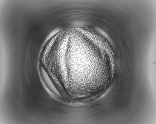 X0000085781042200704091408