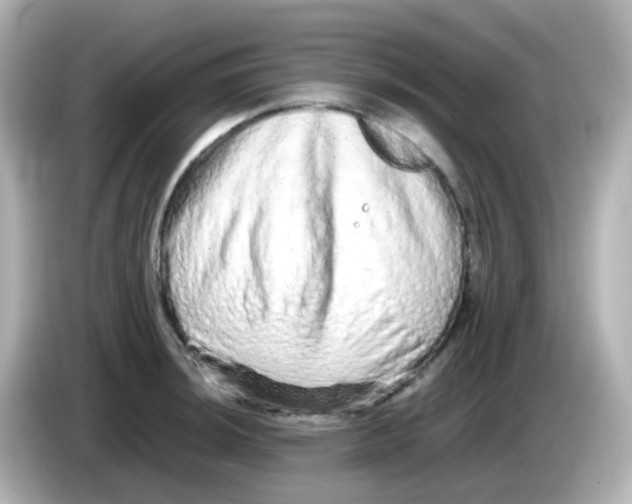 X0000085781044200704091408