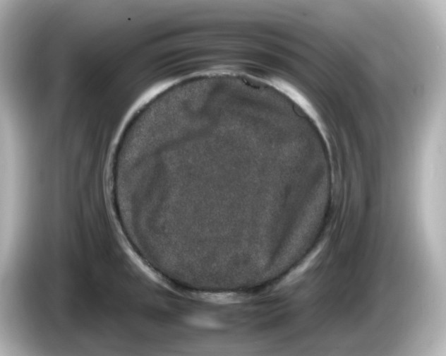 X0000085781045200704091408