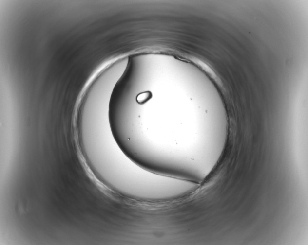 X0000085781046200704091408