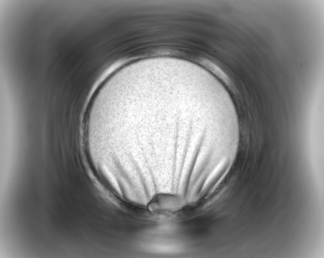 X0000085781047200704091408