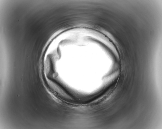 X0000085781048200704091408