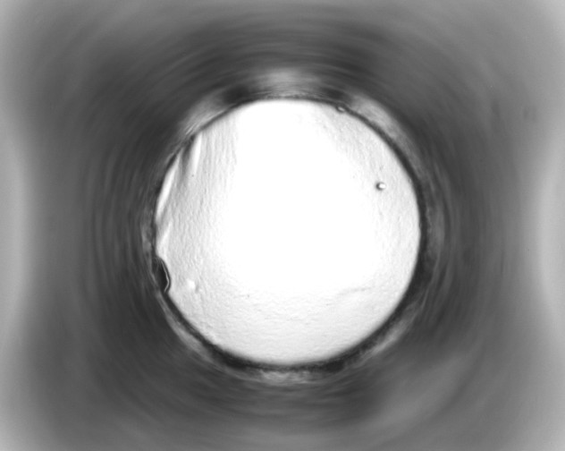 X0000085781049200704091408