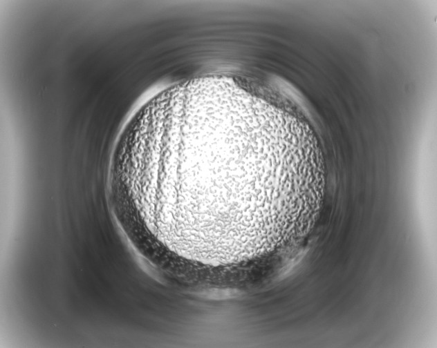 X0000085781050200704091408