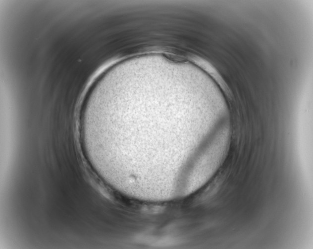 X0000085781051200704091408