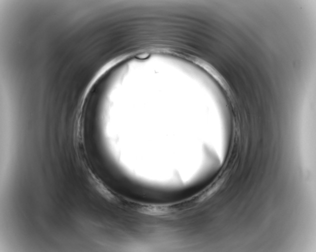 X0000085781052200704091408